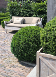 Aura Peeperkorn outdoor Loungebank