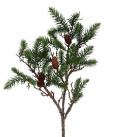 Kunst den picea S groen