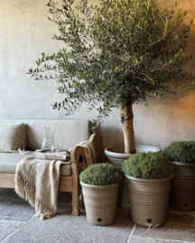 Aura Peeperkorn outdoor collectie buitenpotten