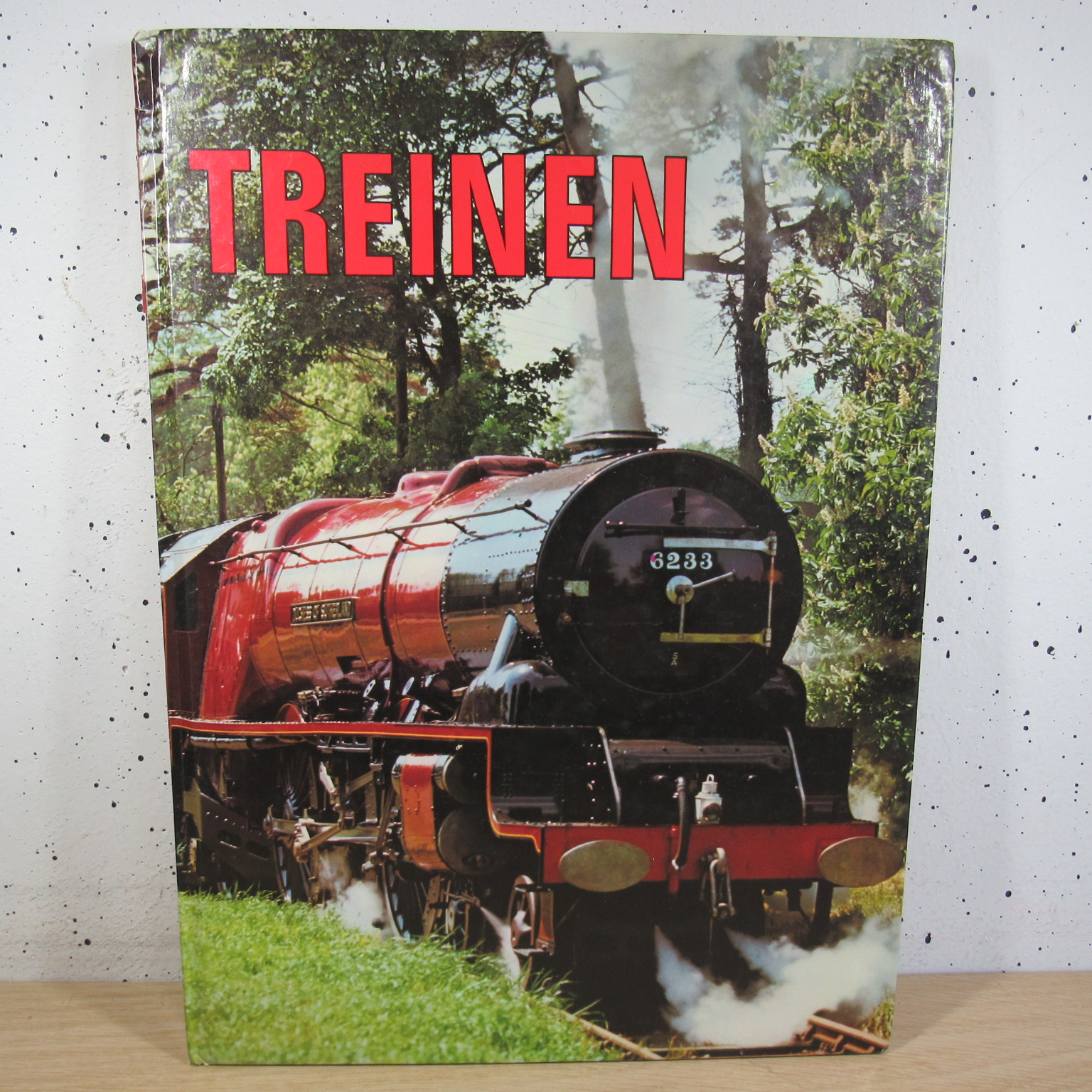 Treinen boek