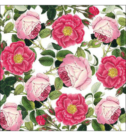 Rosaline white nr64