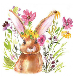 Girl bunny P.20