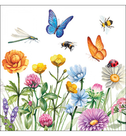 Butterfly meadow nr53