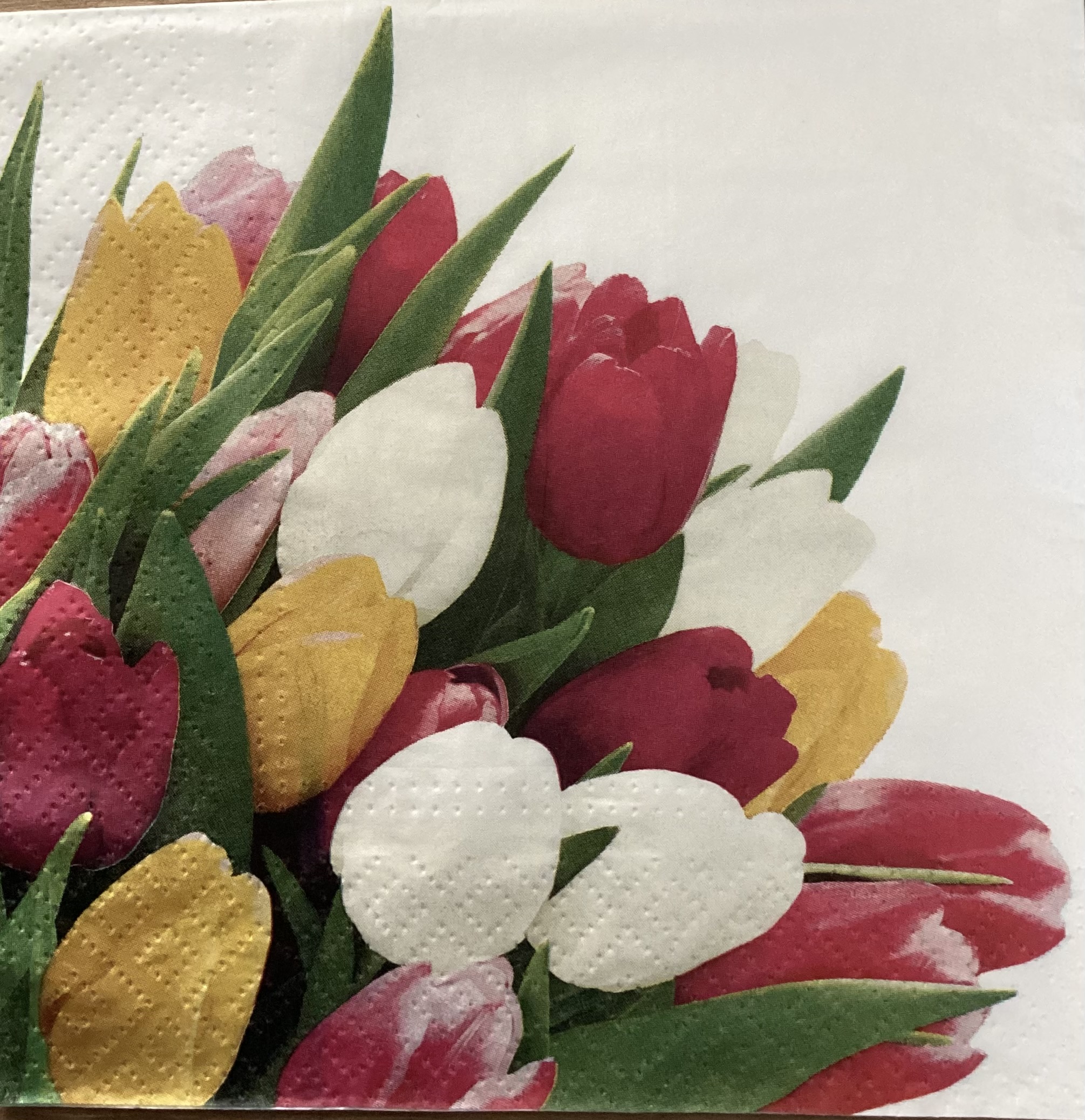 Tulpen