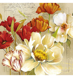 Coralie N.100
