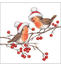 Christmas Robins nr.164