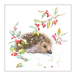 Hedgehog in winter nr.176