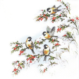 Sophy's Birds 25cm nr101