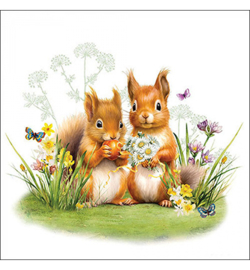 Eekhoorntjes 🐿️ N.106