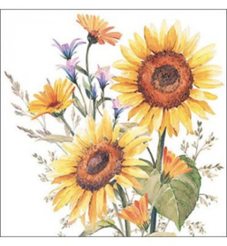 Sunflowers - Zonnebloemen nr24