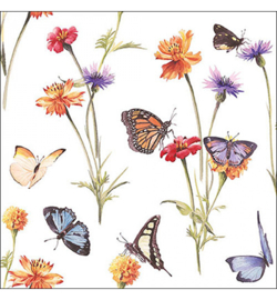 Butterfly garden white nr46