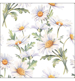 Daisies N.101