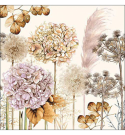 Dried flowers nr.124