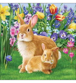 Mother bunny nr21