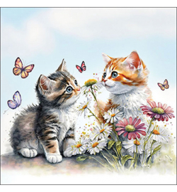 Kittens in flower field N.117