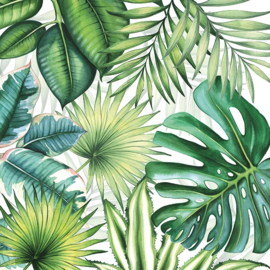 Tropical Leaves nr20