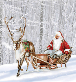 Santa in snowy forest nr103