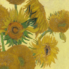 Van Gogh Sunflower nr17