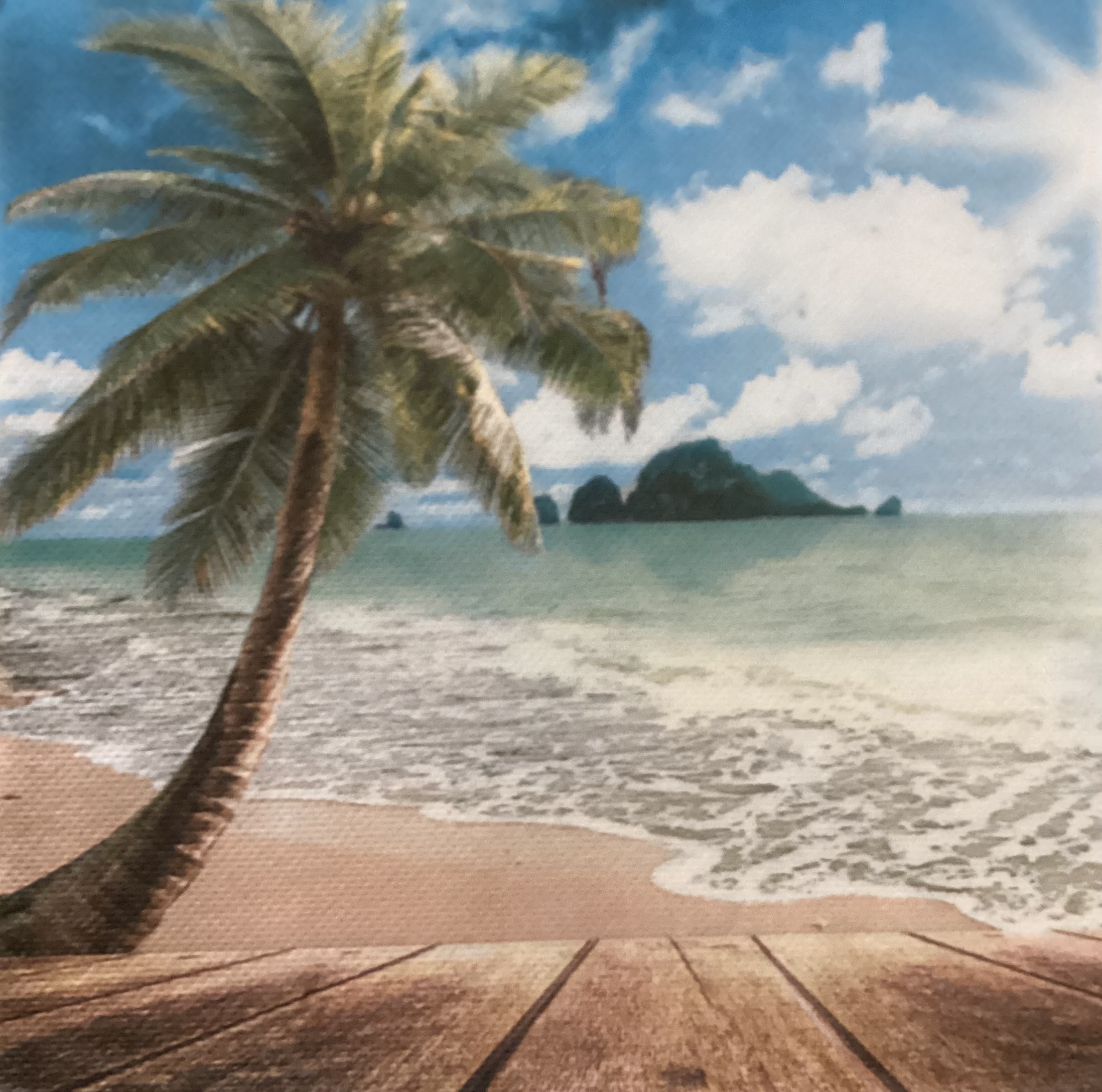 Zee en palmboom
