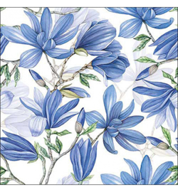 Magnolia nr.92