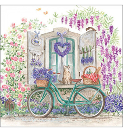 Bike with basket nr.72