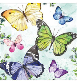 Vlinders 🦋 N.111