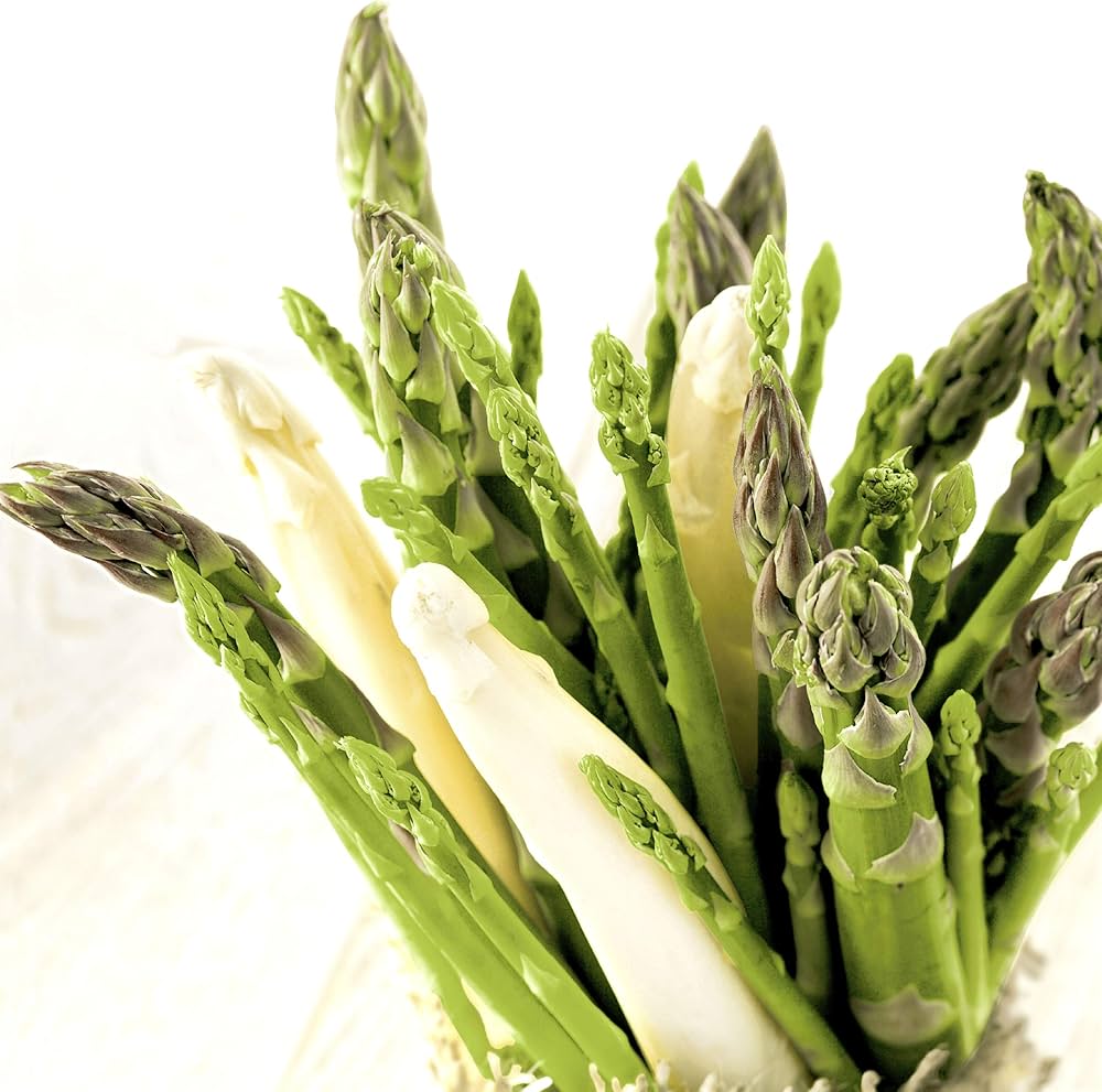 Asperges nr.1011