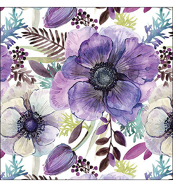 Purple dream N.108
