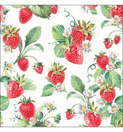 Garden Strawberries nr.1006