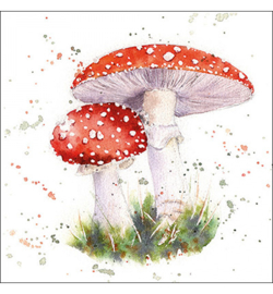 Painted fly agaric NR113