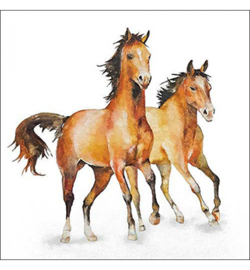 Wild horses 🐎 N.115