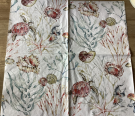 Sea animals nr61
