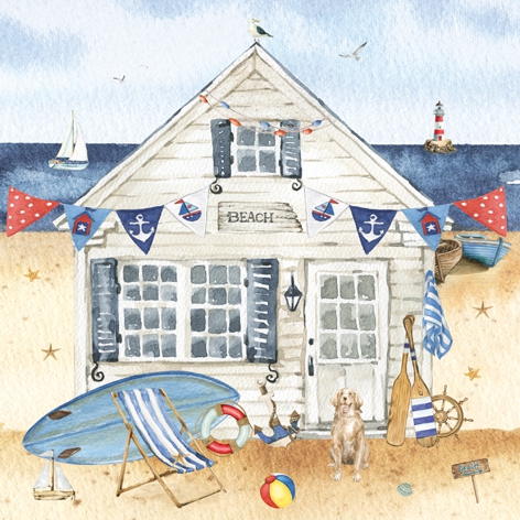 Enjoy a day by the Beach