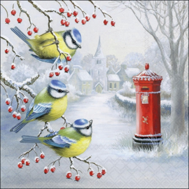 Waiting for mail  N.135