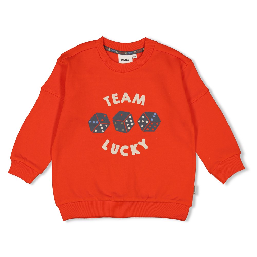 Sturdy  | sweater couch club