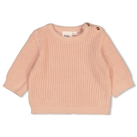 Feetje | sweater gebreid roze