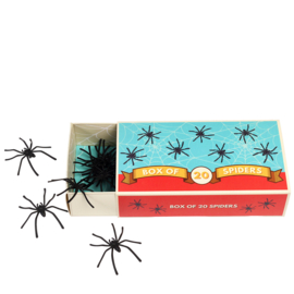 Rex London | box of 20 spiders