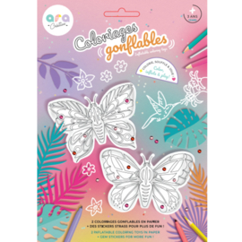 Ara creative |  vlinders