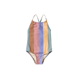 Salted Stories | Multi stripe swimsuit
