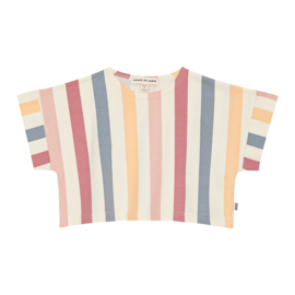 House of Jamie | relaxed  t-shirt stipe color