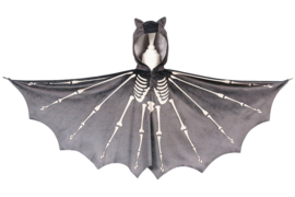 Souza | vleermuis bat cape
