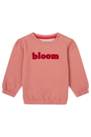 Noppies |  Girls sweater feurs long