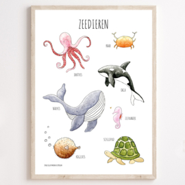 Juulz | Poster zeedieren