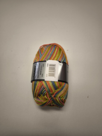 Lammy Yarns Rio Multi 634