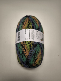 Lang Yarns Super Soxx Color 4 ply 425
