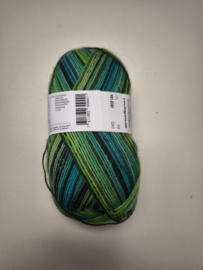 Lang Yarns Super Soxx Color 4 ply 381