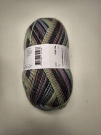 Lang Yarns Super Soxx Color 4 ply 424