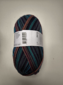 Lang Yarns Super Soxx Color 4 ply 403