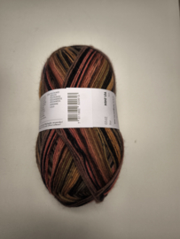 Lang Yarns Super Soxx Color 4 ply 404