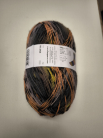Lang Yarns Super Soxx Color 4 ply 428